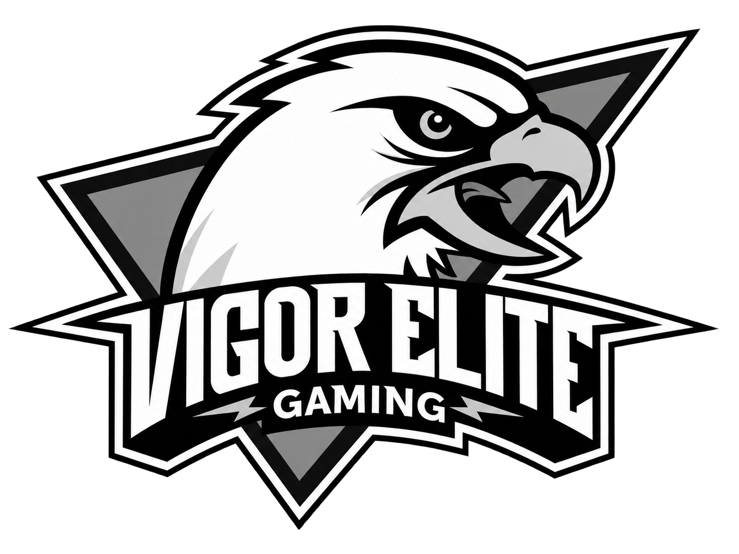 Vigor Elite logo